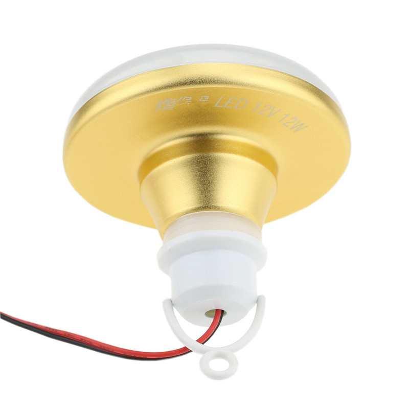 Ampoule LED étanche 12V 12/15/ - Outdoor Lighting Vendor avis et prix