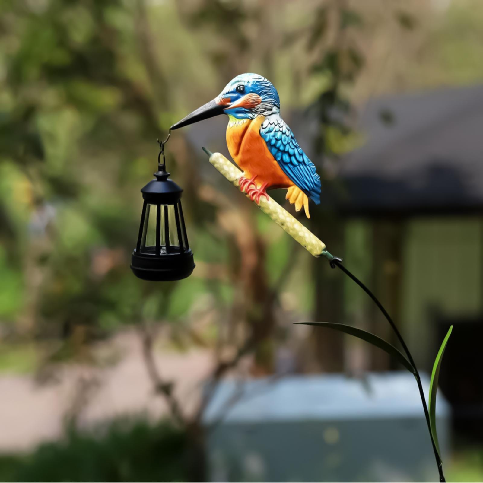 Lanterne solaire étanche en fo - Outdoor Lighting For Backyard avis et prix