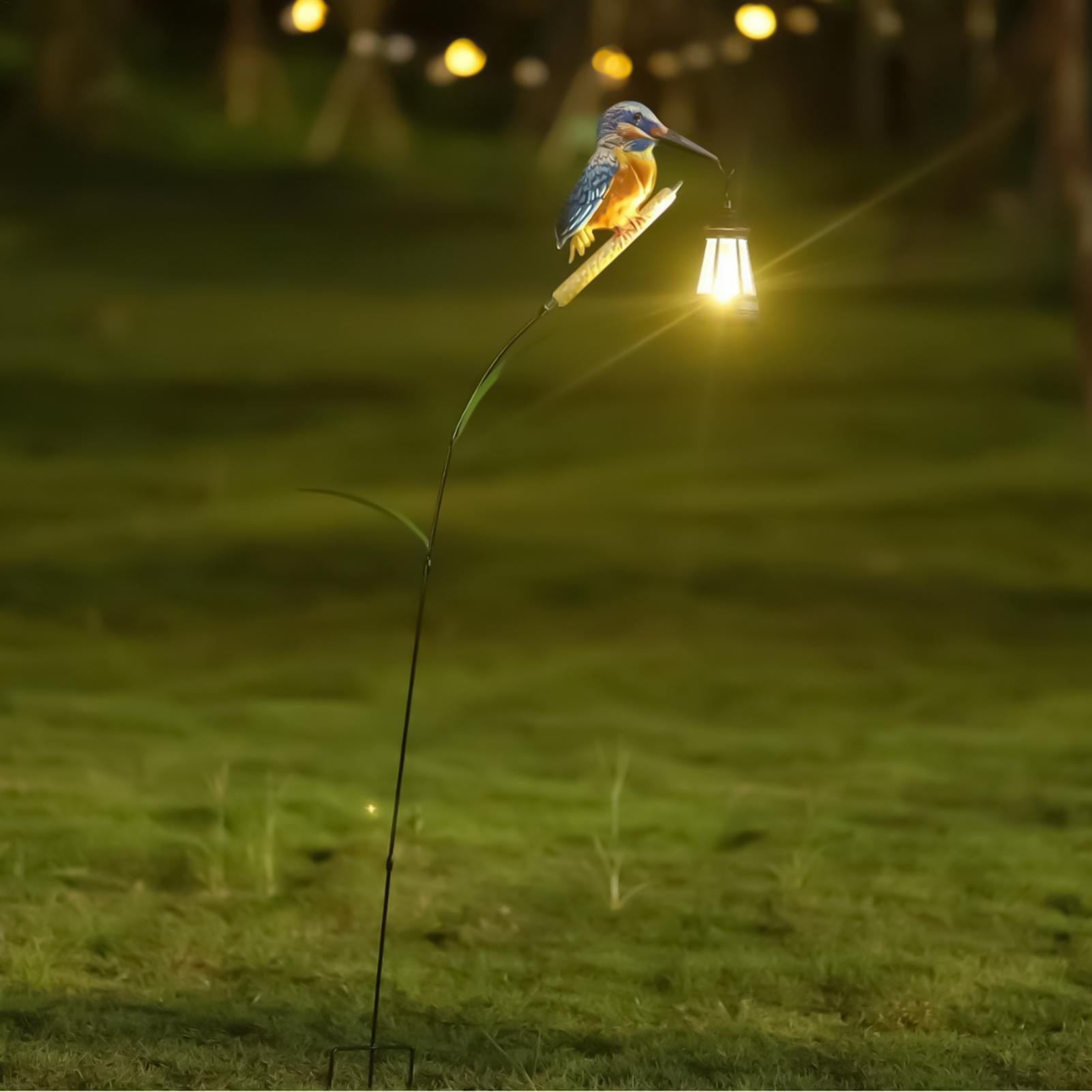 Lanterne solaire étanche en fo - Outdoor Lighting For Backyard avis et prix