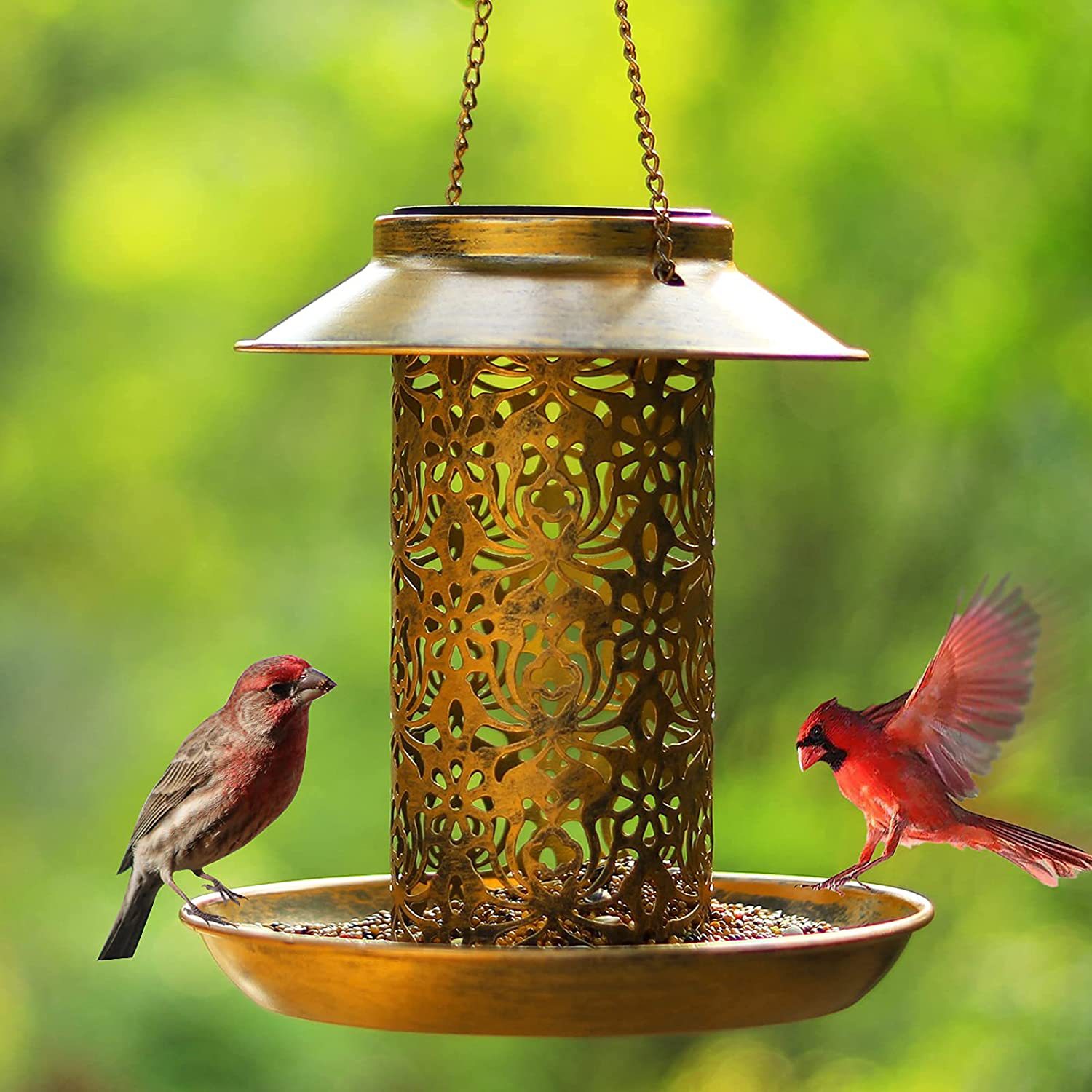 Maison d'oiseaux suspendue en  - Outdoor Lighting Ideas For Backyard avis et prix